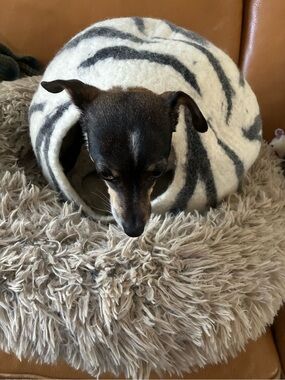 Plush Felted Cave Bed for Dogs - White & Gray Stripes Dog/  toy NoT Included :)